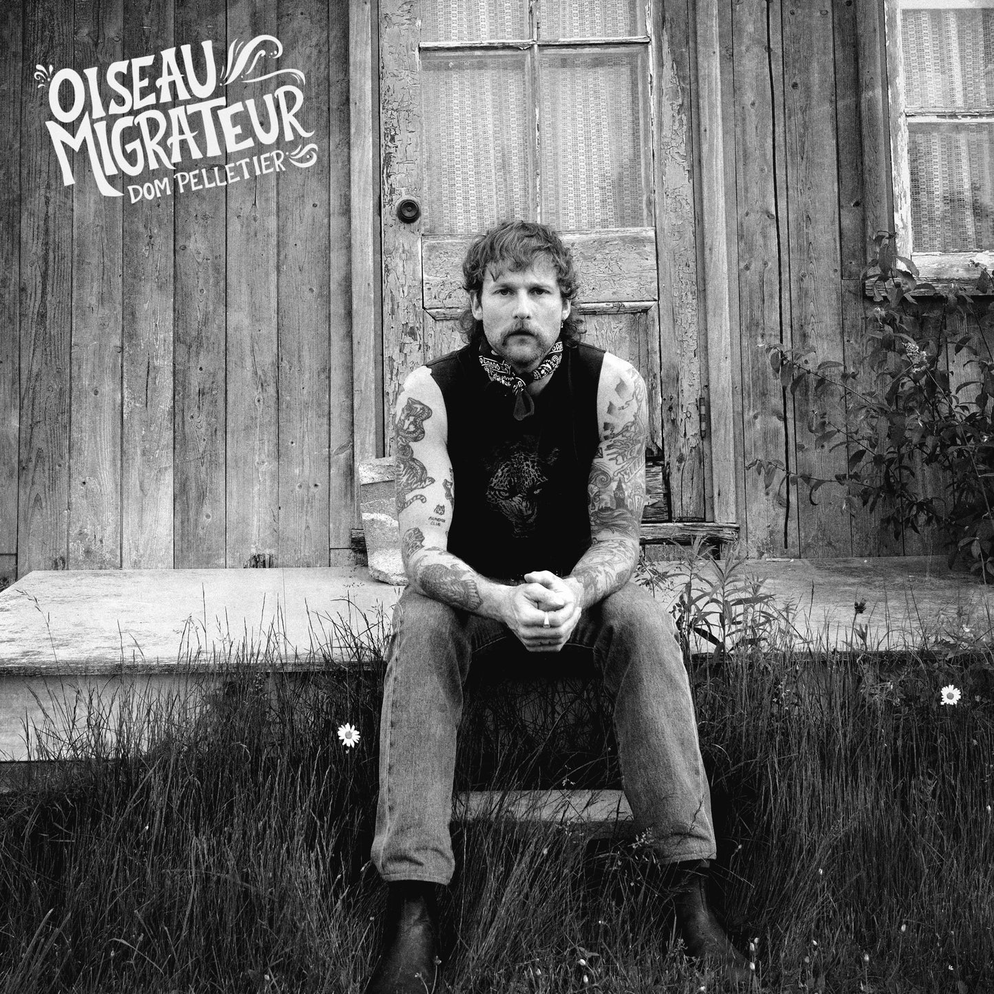 Dom Pelletier - Oiseau migrateur (vinyle) PRÉ-COMMANDE